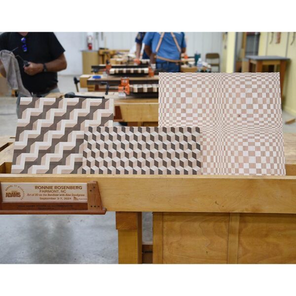 The Art of 3D on the Bandsaw with Alex Snodgrass June 23-27, 2025 - Image 3