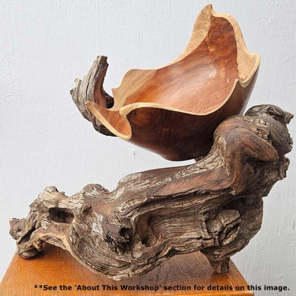 Parables in Wood: Inspired Shapes from Nature with Christopher White August 18-22, 2025 - Image 12