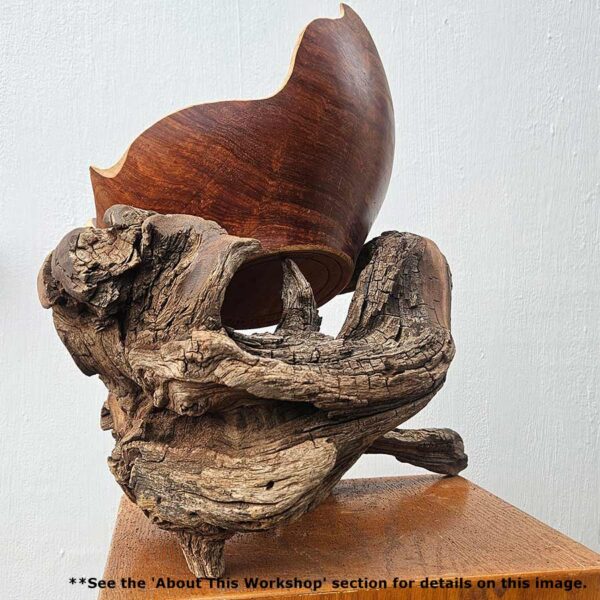 Parables in Wood: Inspired Shapes from Nature with Christopher White August 18-22, 2025 - Image 13