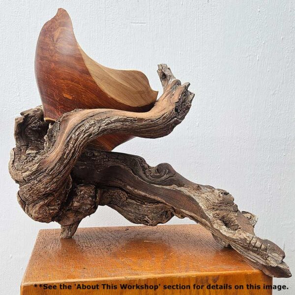 Parables in Wood: Inspired Shapes from Nature with Christopher White August 18-22, 2025 - Image 14