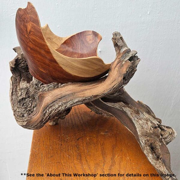 Parables in Wood: Inspired Shapes from Nature with Christopher White August 18-22, 2025 - Image 15