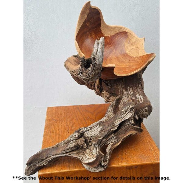 Parables in Wood: Inspired Shapes from Nature with Christopher White August 18-22, 2025 - Image 16